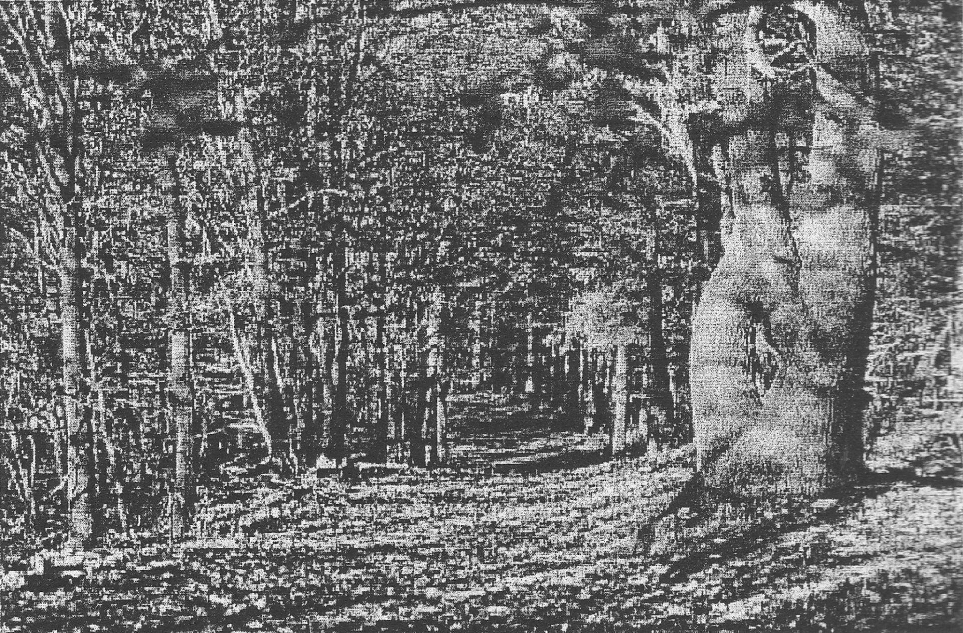 Vogler Kammweg
